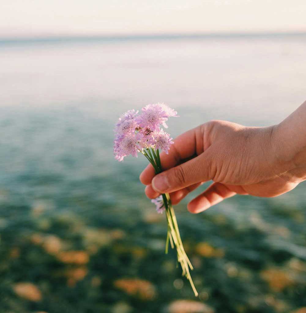 highland-transformational-coaching